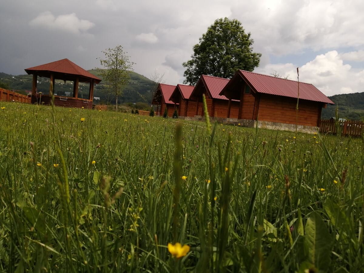 Шале Tara Valley Eco Lounge Мойковац-14