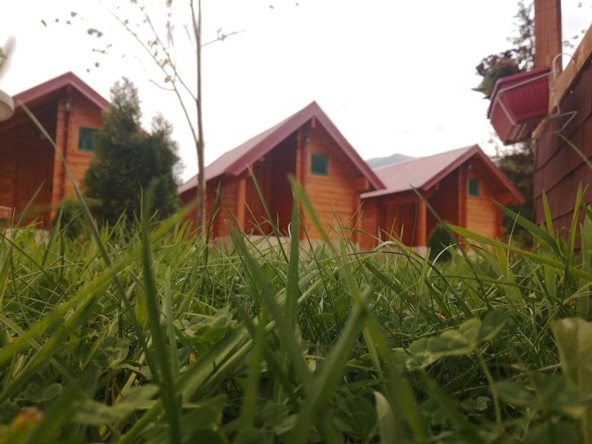 Шале Tara Valley Eco Lounge Мойковац-7