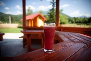 Шале Tara Valley Eco Lounge Мойковац Улучшенное шале-4